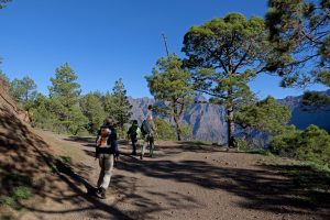 Parque Nacional de la Caldera de Taburiente • La Cumbrecita