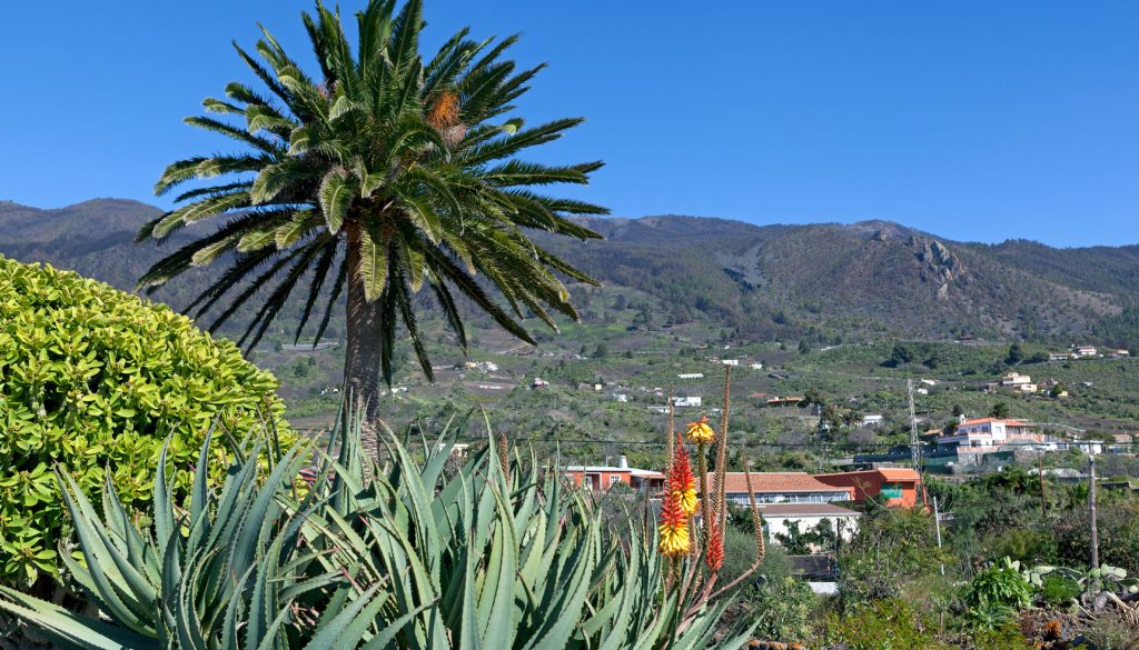 Las Manchas • Landschaft