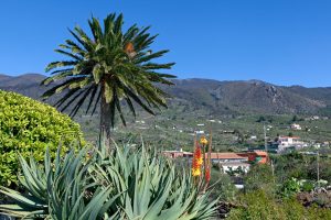 Las Manchas • Landschaft