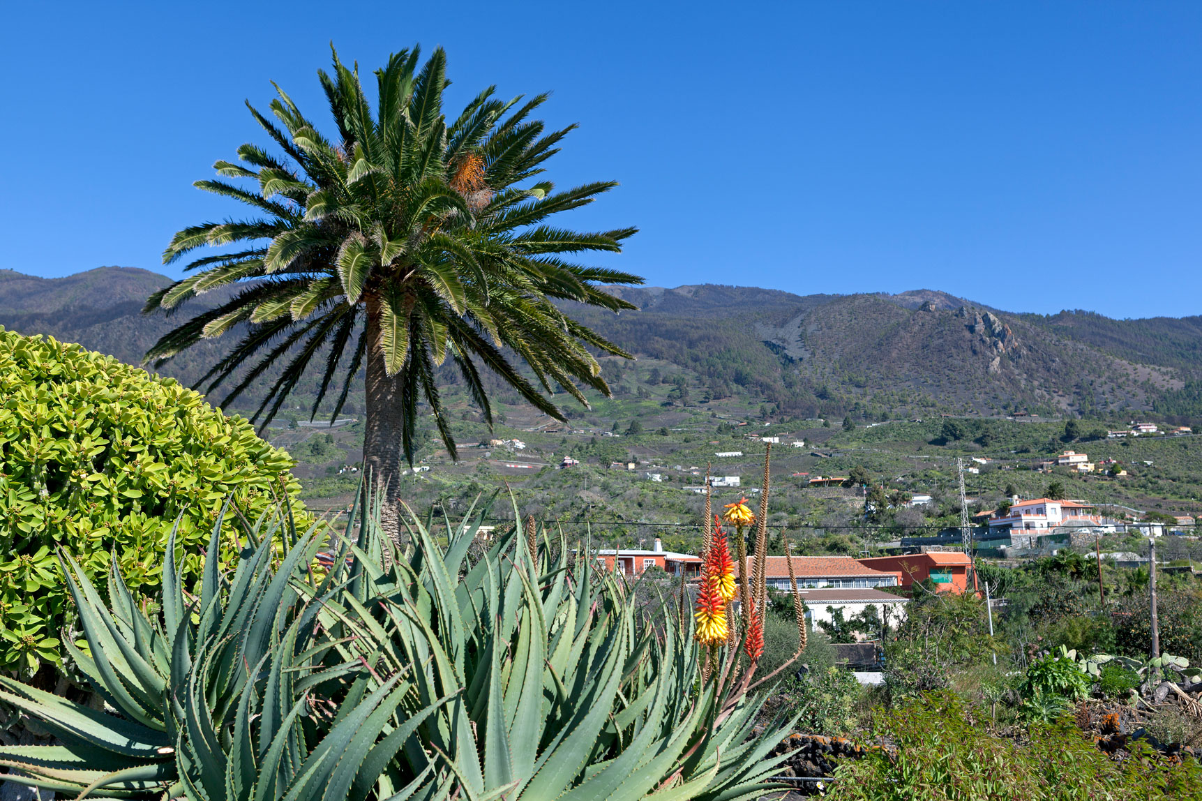 Las Manchas • Landschaft