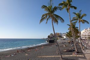 Puerto Naos • Palmen am Strand