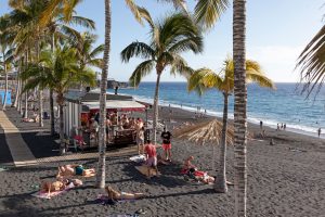 Puerto Naos • Palmen am Strand