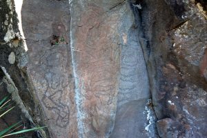 Las Tricias • Felszeichnungen (Petroglyphen), Barranco de Buracas