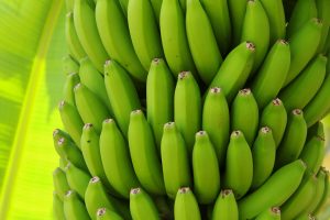 Tazacorte • Bananen-Museum