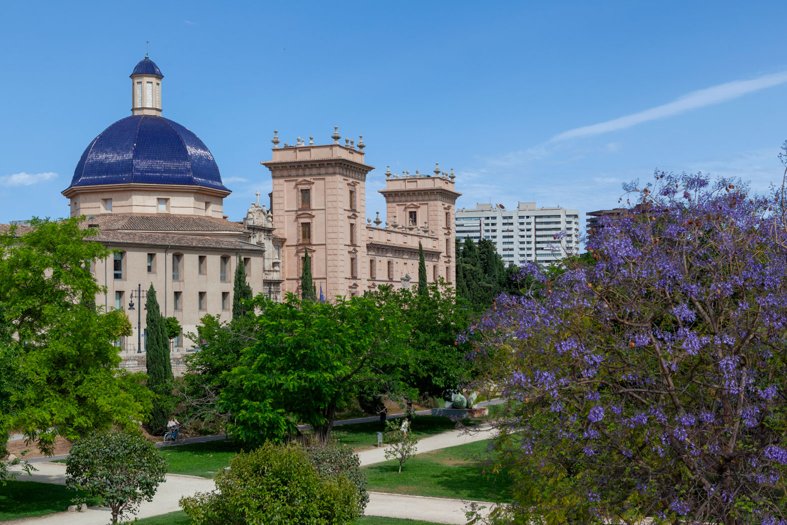 Museum der Schönen Künste Valencia, València, Valencia, Spanien